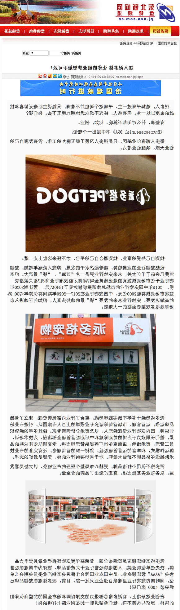 加入派多格-让你的创业梦想触手可及！-盘锦频道-东北新闻网.png